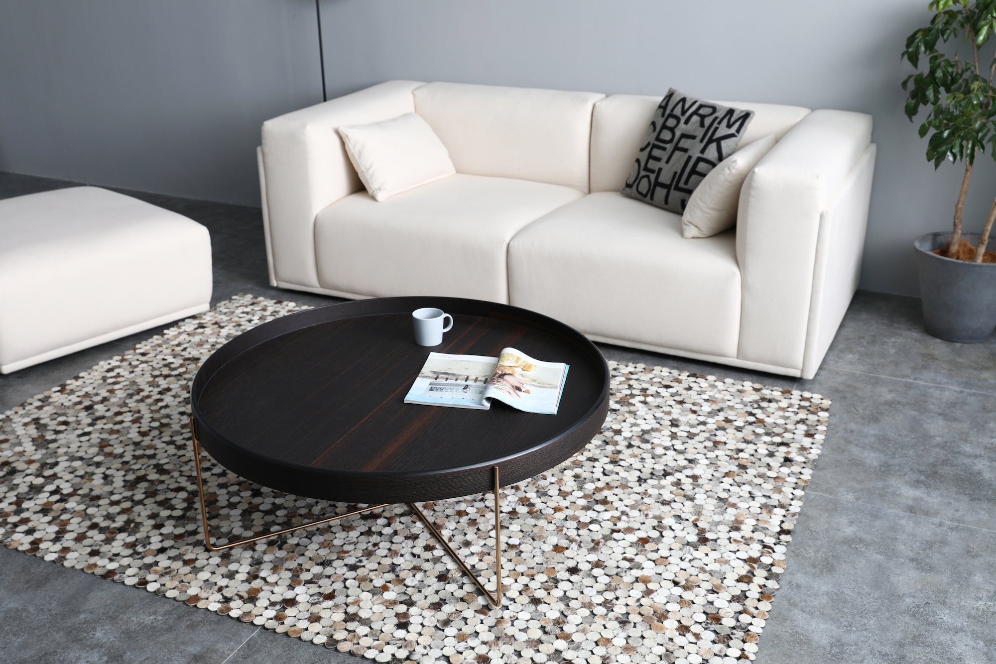 Smoked Oak Coffee table and white sofa